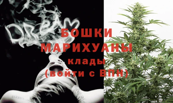соль ск Вяземский
